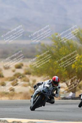 media/Apr-10-2022-SoCal Trackdays (Sun) [[f104b12566]]/Turn 5 Tree of Life (1040am)/